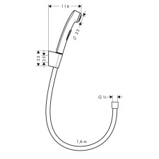 HANSGROHE гігієнічний душ, зі шлангом 1,60 м та тримачем, ½’